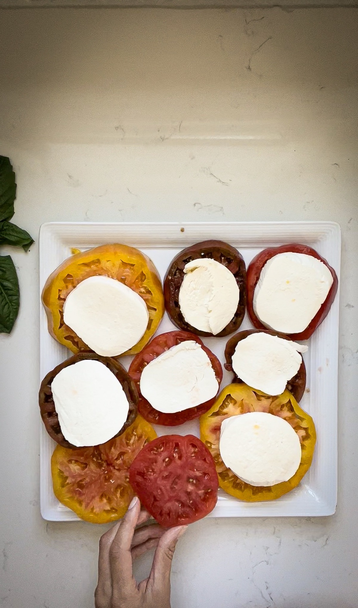 tomatoes layered with fresh mozzarella arranged on a platter