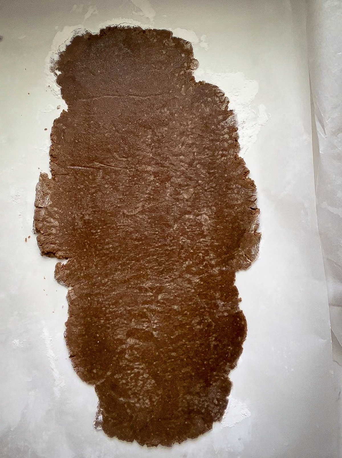 photo of rolled out gingerbread dough