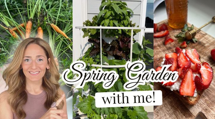 Spring Garden With Me YouTube Thumbnail